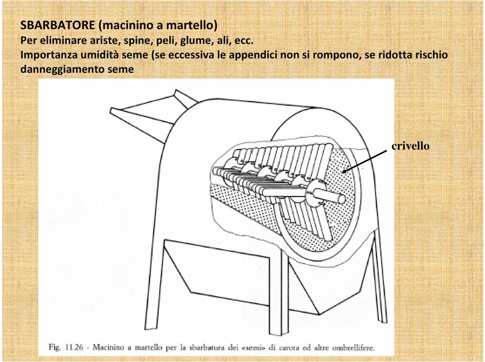 Importanza umidità seme (se eccessiva le