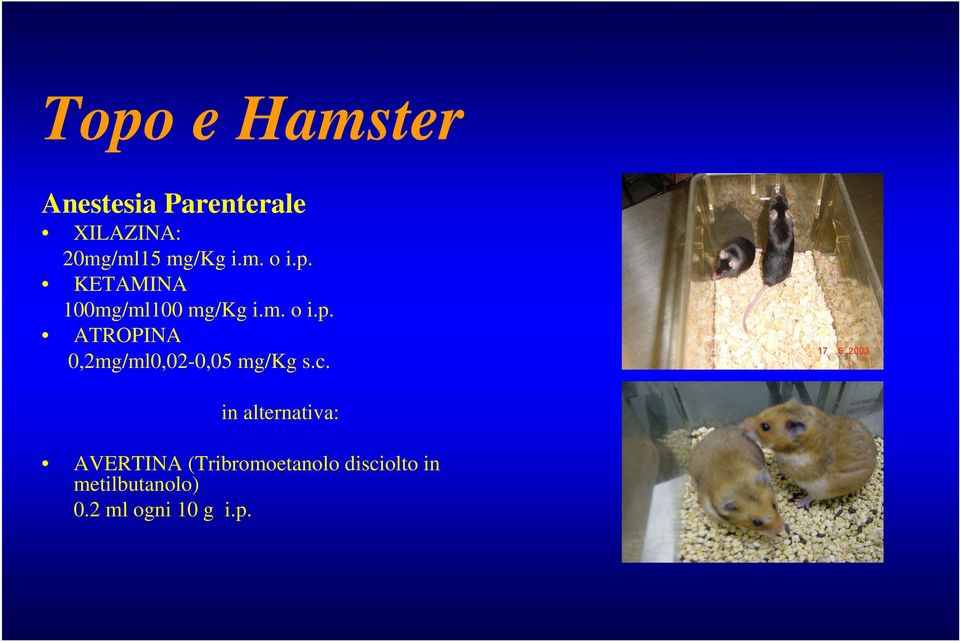 c. in alternativa: AVERTINA (Tribromoetanolo disciolto in