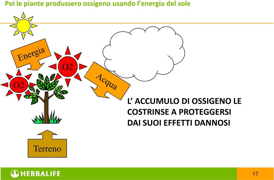 ACCUMULO DI OSSIGENO LE COSTRINSE A