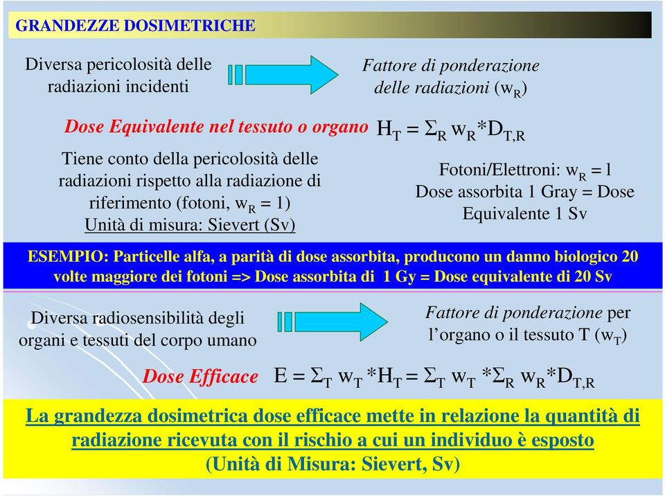 Particelle alfa, a parità di dose assorbita, producono un danno biologico 20 volte maggiore dei fotoni => Dose assorbita di 1 Gy = Dose equivalente di 20 Sv Diversa radiosensibilità degli organi e