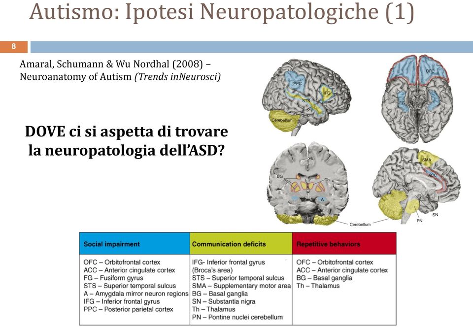 Neuroanatomy of Autism (Trends inneurosci)