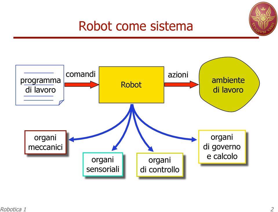 organi meccanici organi sensoriali organi