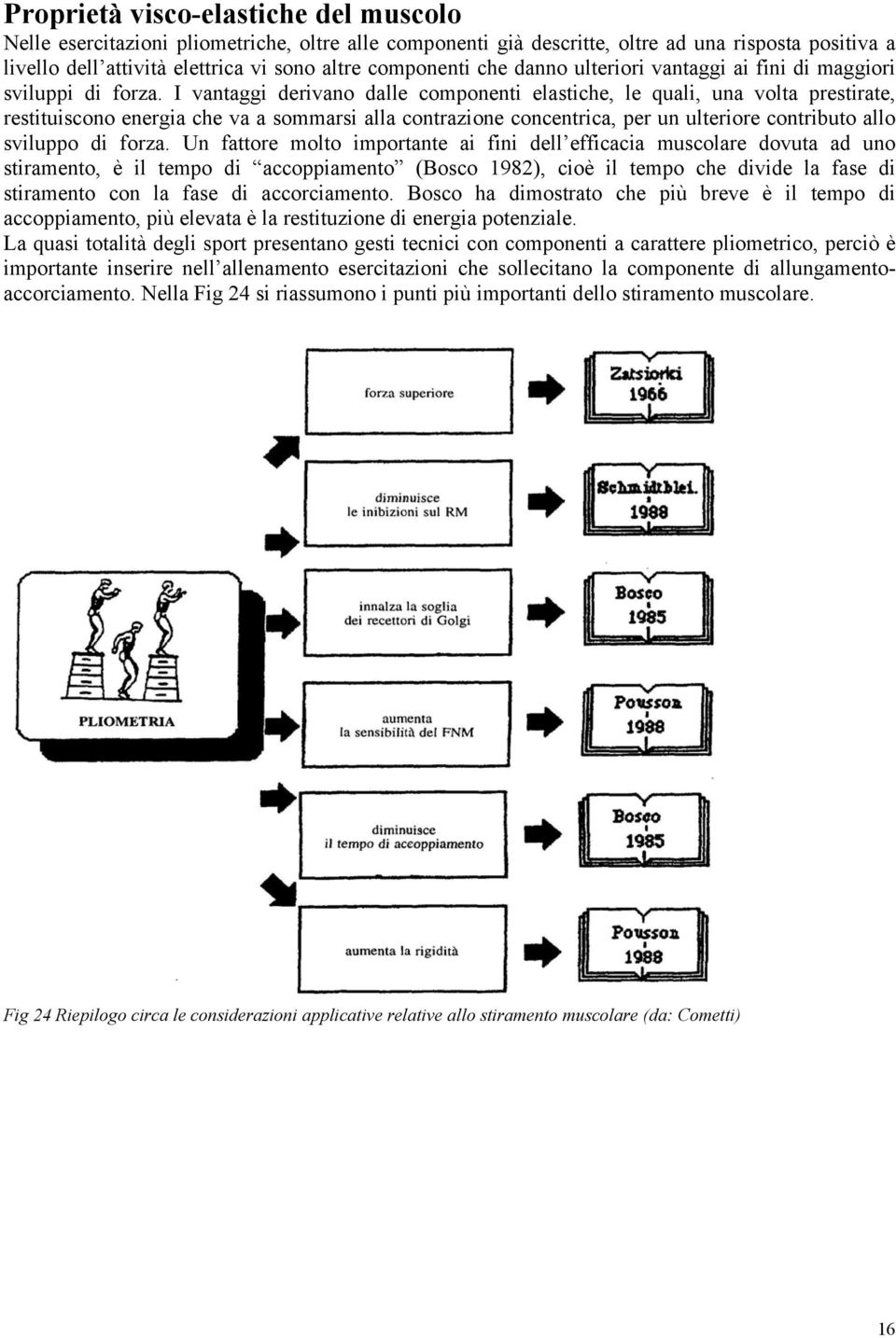 I vantaggi derivano dalle componenti elastiche, le quali, una volta prestirate, restituiscono energia che va a sommarsi alla contrazione concentrica, per un ulteriore contributo allo sviluppo di