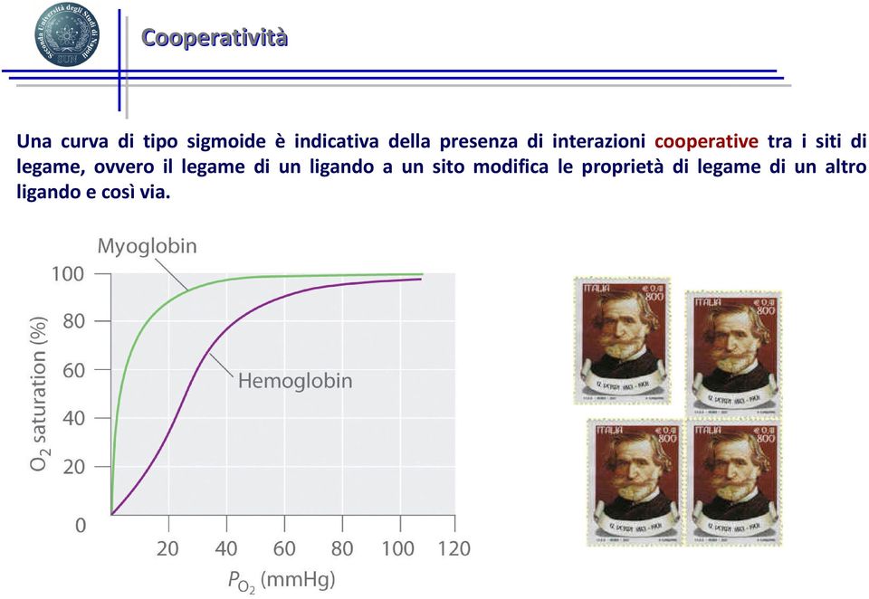 legame, ovvero il legame di un ligando a un sito