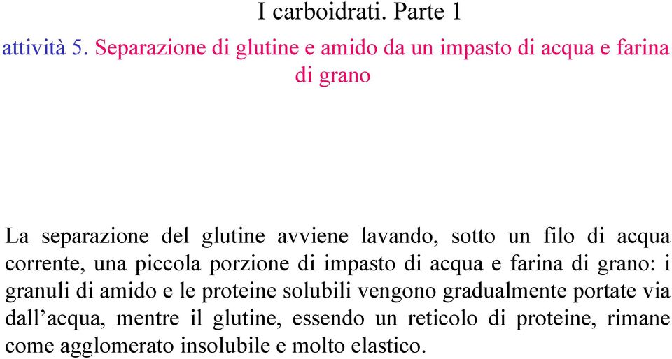 lavando, sotto un filo di acqua corrente, una piccola porzione di impasto di acqua e farina di grano: i