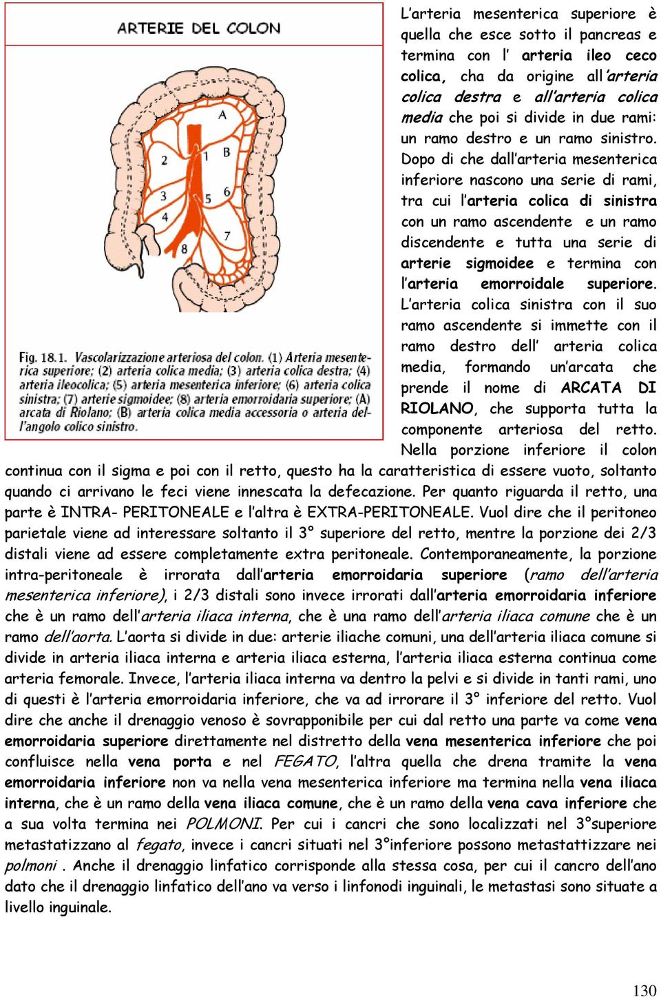 Dopo di che dall arteria mesenterica inferiore nascono una serie di rami, tra cui l arteria colica di sinistra con un ramo ascendente e un ramo discendente e tutta una serie di arterie sigmoidee e