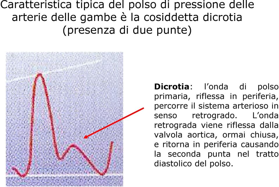 sistema arterioso in senso retrogrado.