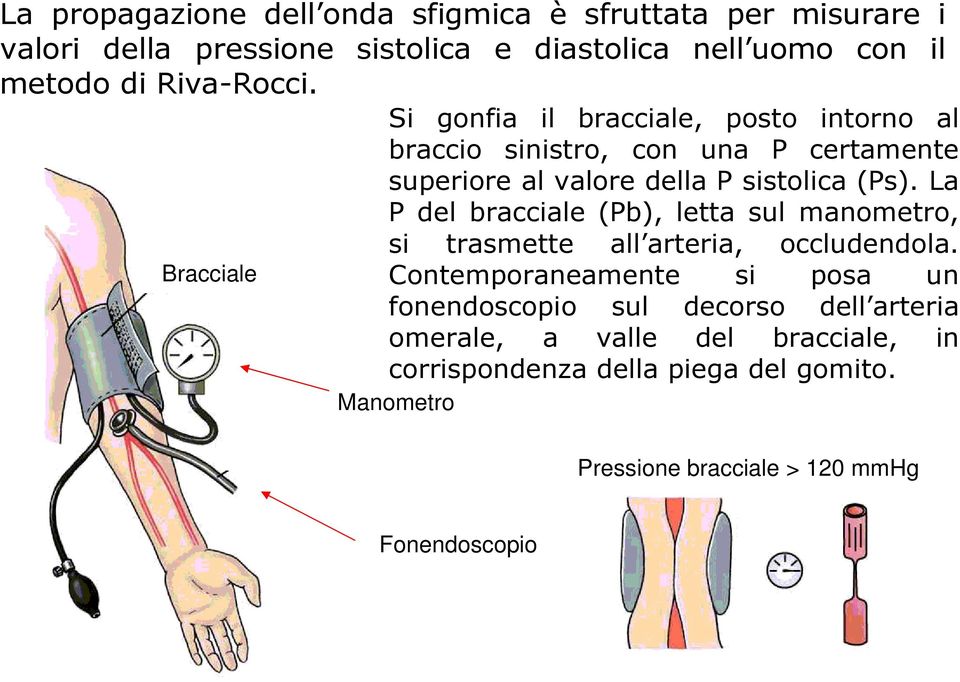 Bracciale Si gonfia il bracciale, posto intorno al braccio sinistro, con una P certamente superiore al valore della P sistolica (Ps).