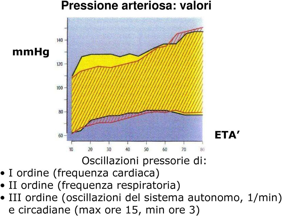 (frequenza respiratoria) III ordine (oscillazioni del