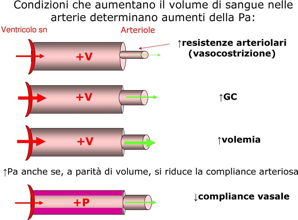 resistenze arteriolari (vasocostrizione) +V GC +V volemia Pa