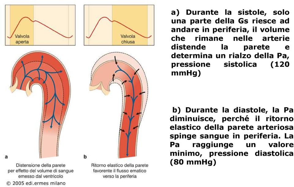 (120 mmhg) b) Durante la diastole, la Pa diminuisce, perché il ritorno elastico della parete