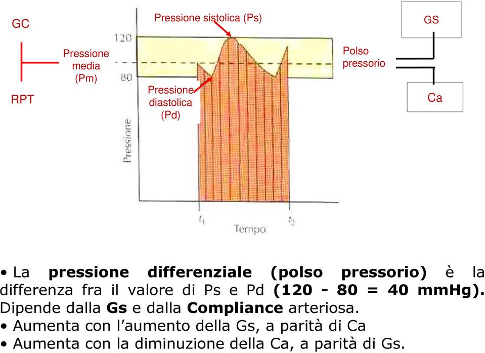 di Ps e Pd (120-80 = 40 mmhg). Dipende dalla Gs e dalla Compliance arteriosa.