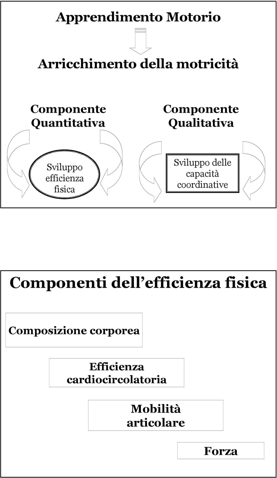 Sviluppo delle capacità coordinative Componenti dell efficienza