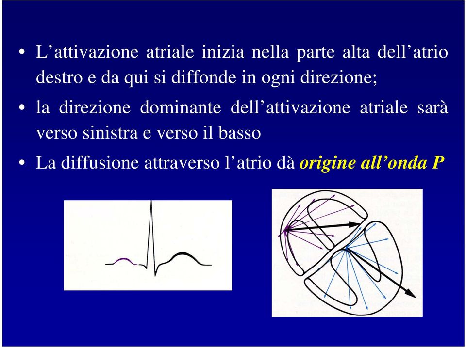 dominante dell attivazione atriale sarà verso sinistra e