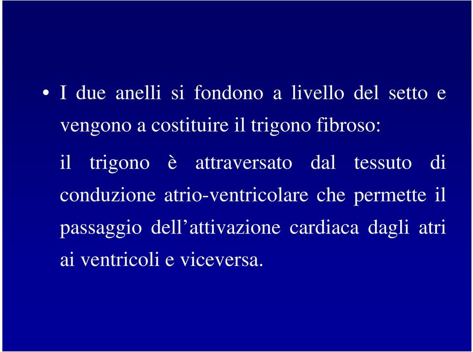 tessuto di conduzione atrio-ventricolare che permette il