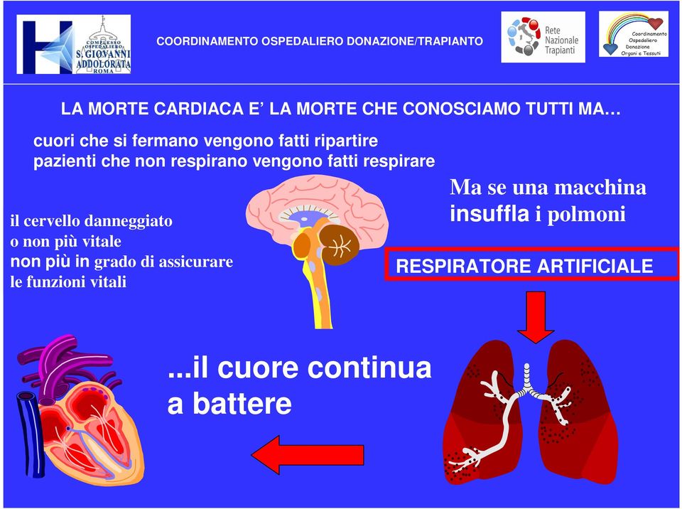 danneggiato o non più vitale non più in grado di assicurare le funzioni vitali Ma