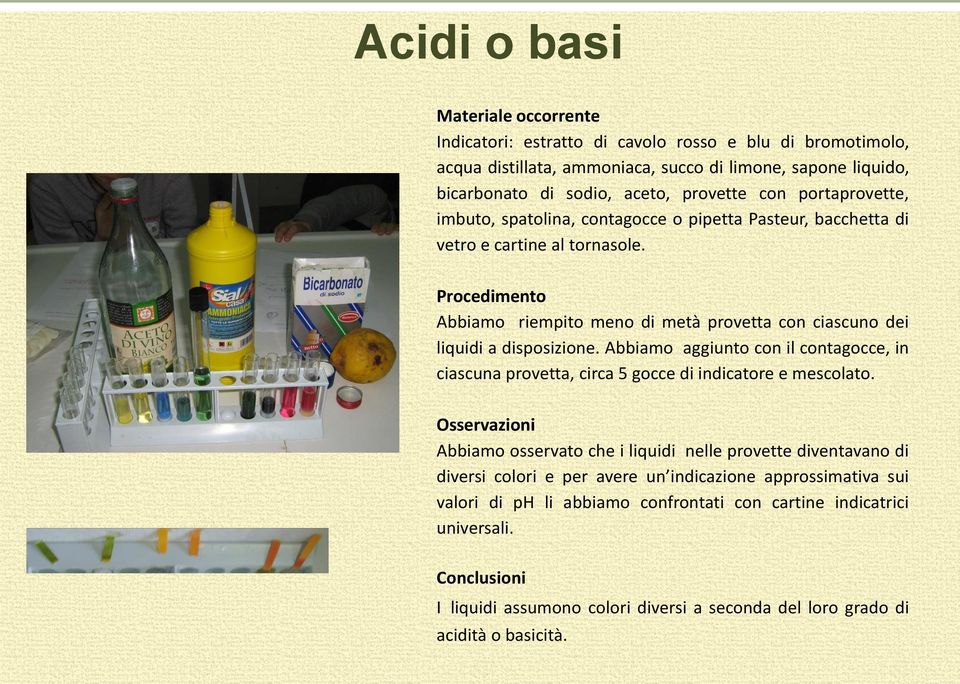 Abbiamo riempito meno di metà provetta con ciascuno dei liquidi a disposizione. Abbiamo aggiunto con il contagocce, in ciascuna provetta, circa 5 gocce di indicatore e mescolato.