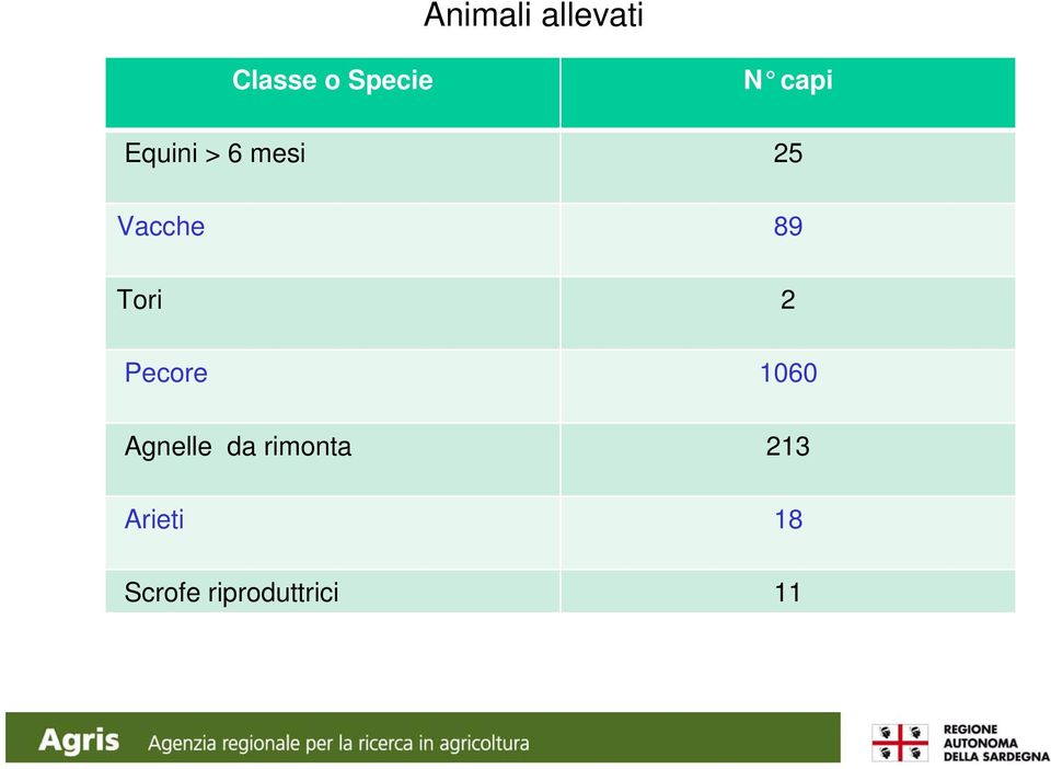 Tori 2 Pecore 1060 Agnelle da