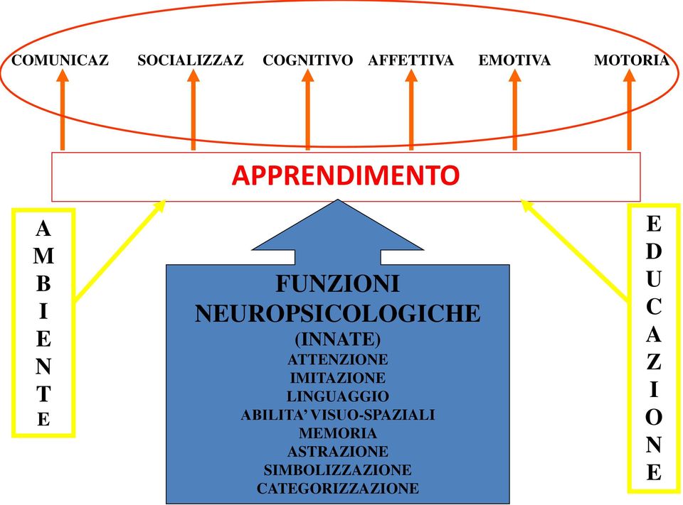 NEUROPSICOLOGICHE (INNATE) ATTENZIONE IMITAZIONE LINGUAGGIO ABILITA