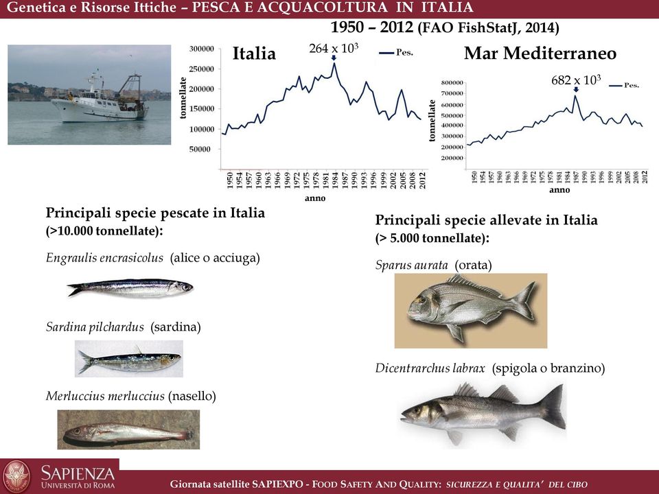 000 tonnellate): Engraulis encrasicolus (alice o acciuga) anno Principali specie allevate in Italia (> 5.