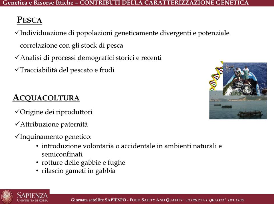 recenti Tracciabilità del pescato e frodi ACQUACOLTURA Origine dei riproduttori Attribuzione paternità Inquinamento