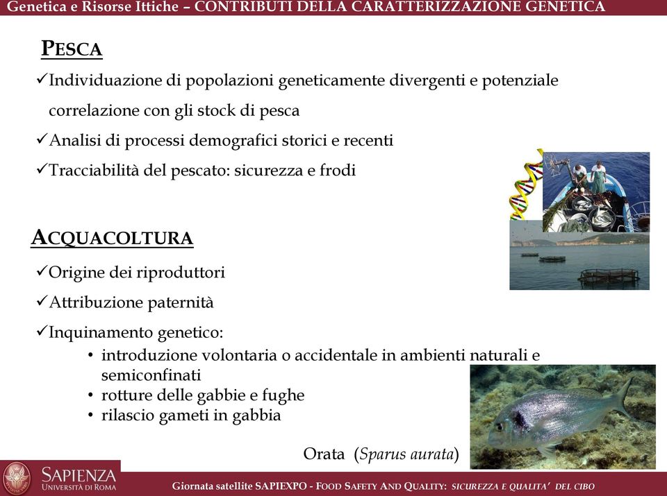 pescato: sicurezza e frodi ACQUACOLTURA Origine dei riproduttori Attribuzione paternità Inquinamento genetico: introduzione