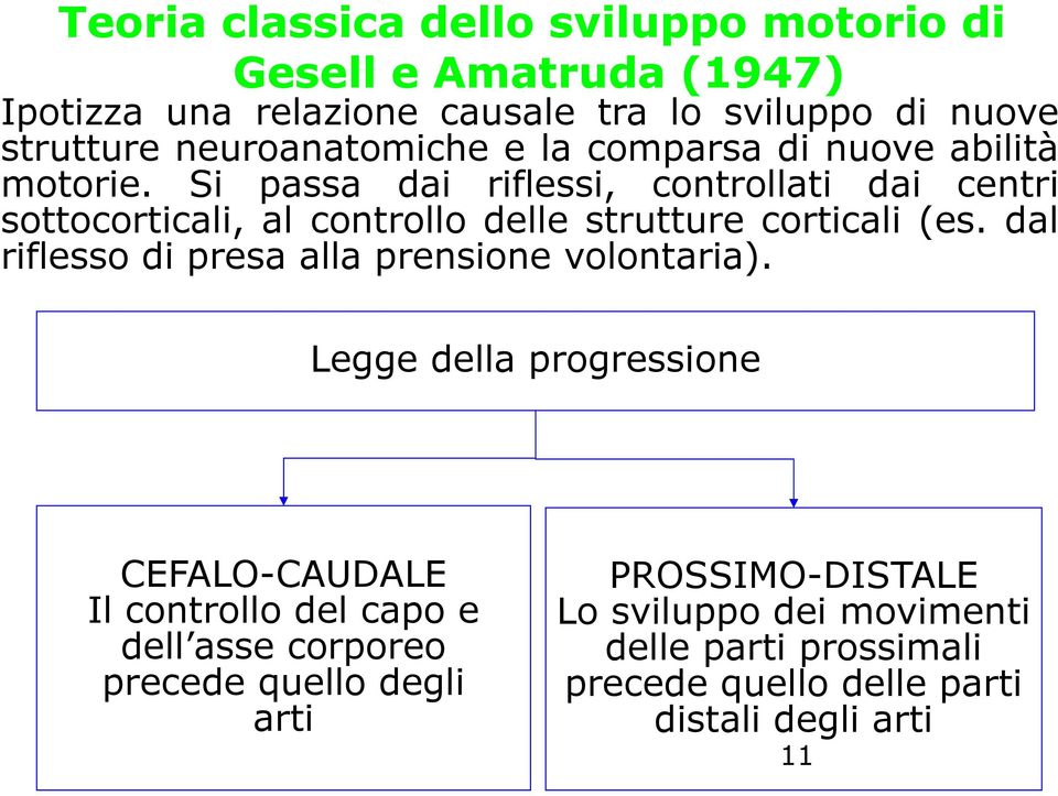 Si passa dai riflessi, controllati dai centri sottocorticali, al controllo delle strutture corticali (es.