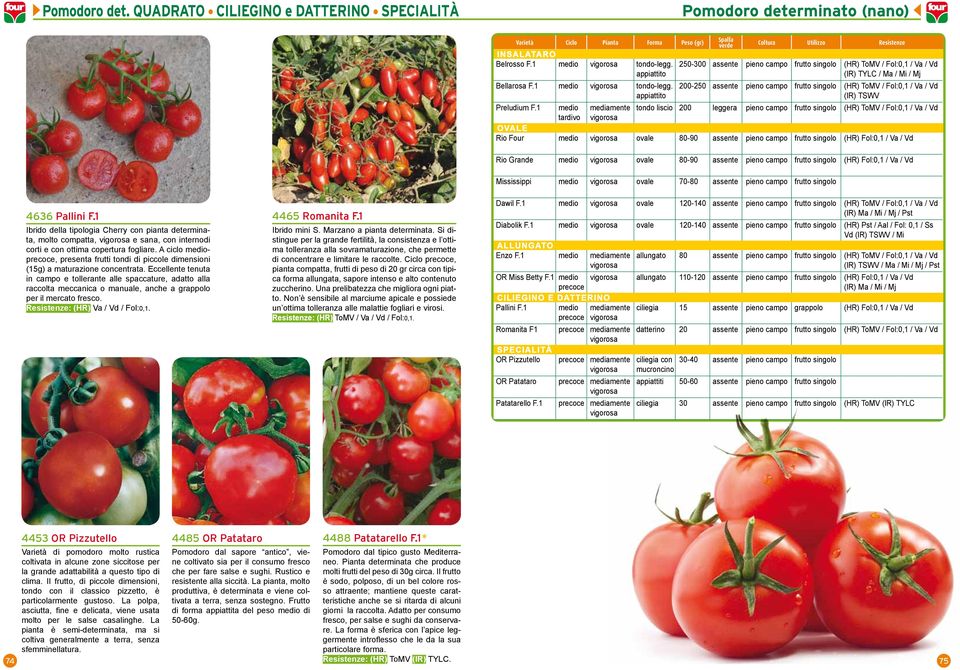 1 medio mediamente tondo liscio 200 leggera pieno campo frutto singolo (HR) ToMV / Fol:0,1 / Va / Vd tardivo OVALE Rio Four medio ovale 80-90 assente pieno campo frutto singolo (HR) Fol:0,1 / Va / Vd