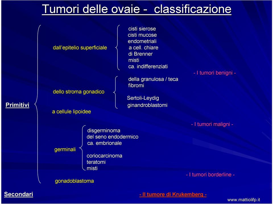 indifferenziati della granulosa / teca fibromi Sertoli-Leydig ginandroblastomi - I tumori benigni - germinali