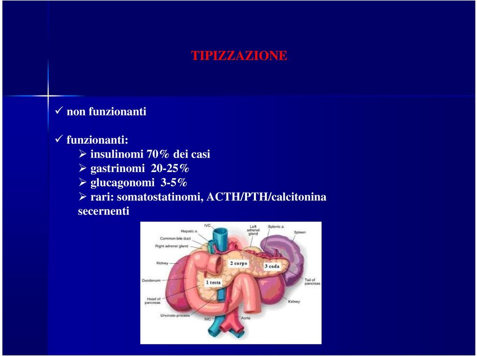 gastrinomi 20-25% glucagonomi 3-5%