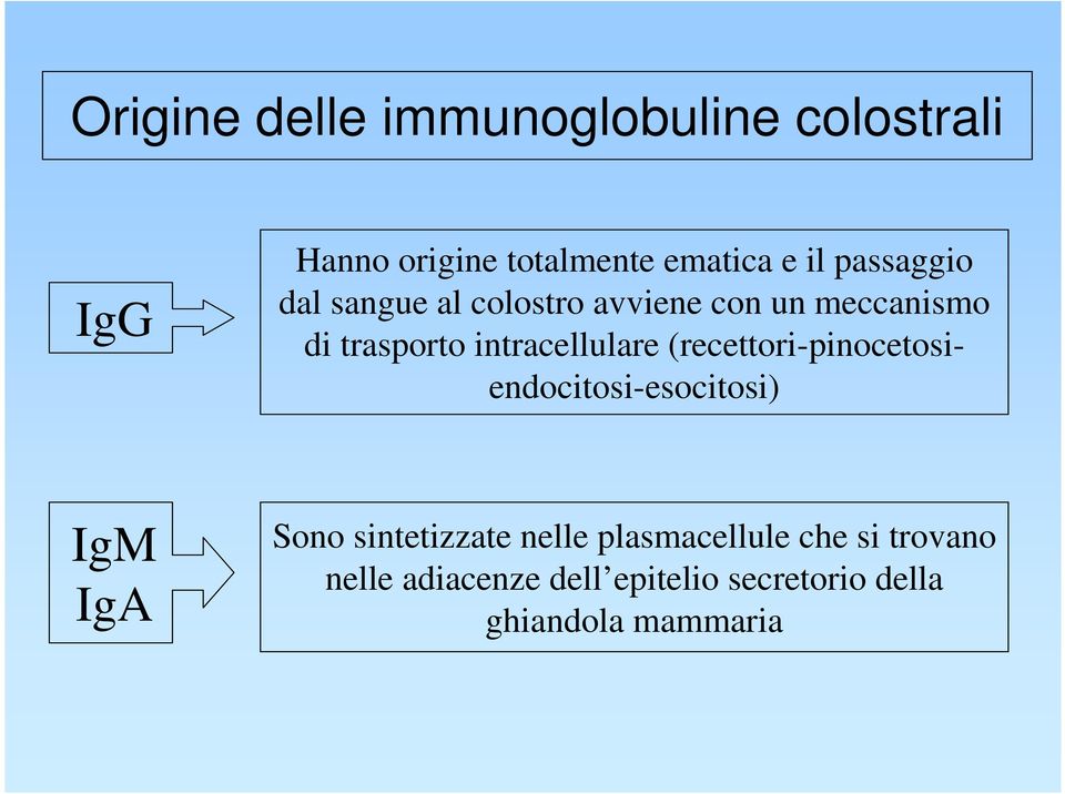 intracellulare (recettori-pinocetosiendocitosi-esocitosi) IgM IgA Sono sintetizzate
