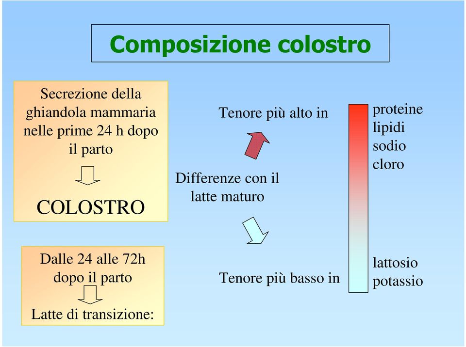 con il latte maturo proteine lipidi sodio cloro Dalle 24 alle 72h