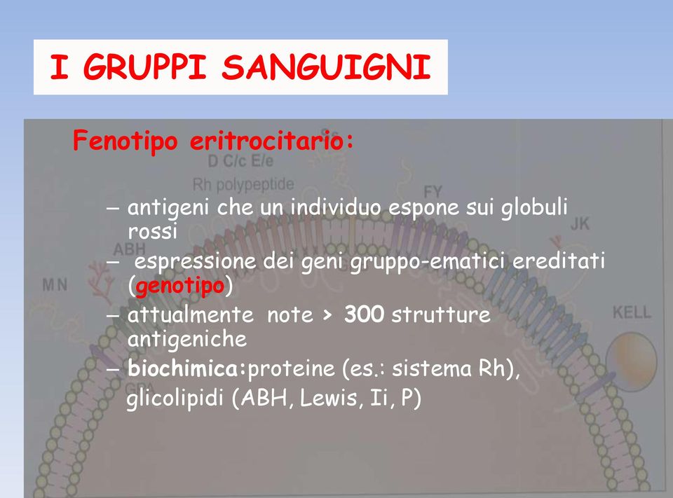 gruppo-ematici ereditati (genotipo) attualmente note > 300