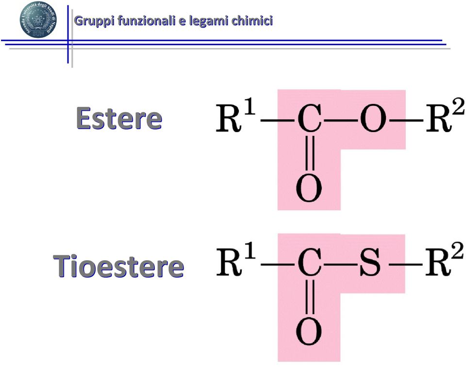 legami