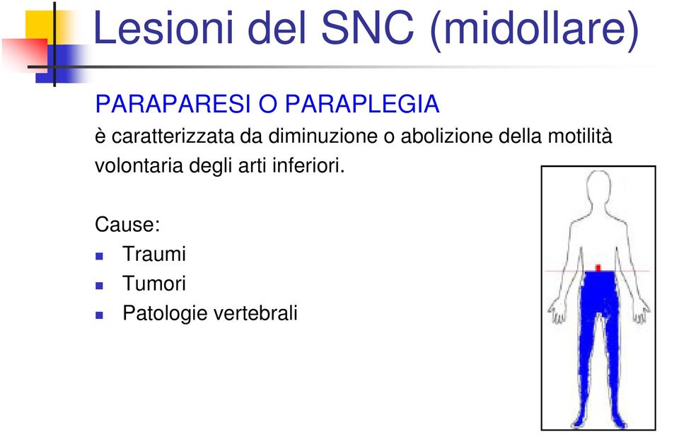 abolizione della motilità volontaria degli