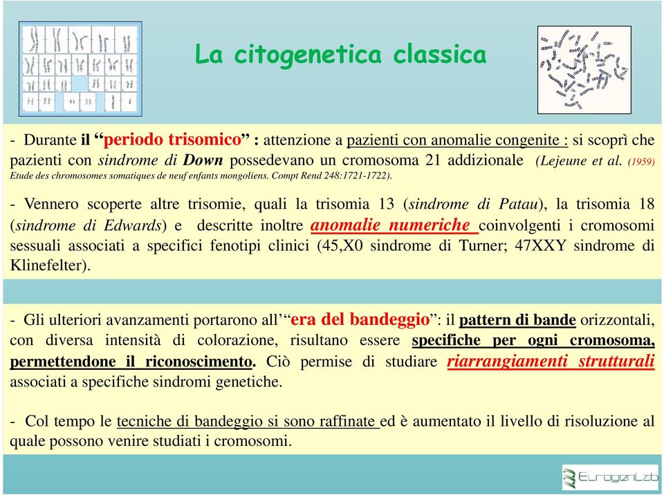 - Vennero scoperte altre trisomie, quali la trisomia 13 (sindrome di Patau), la trisomia 18 (sindrome di Edwards) e descritte inoltre anomalie numeriche coinvolgenti i cromosomi sessuali associati a