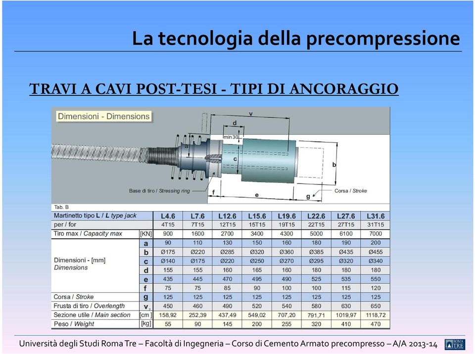 POST-TESI