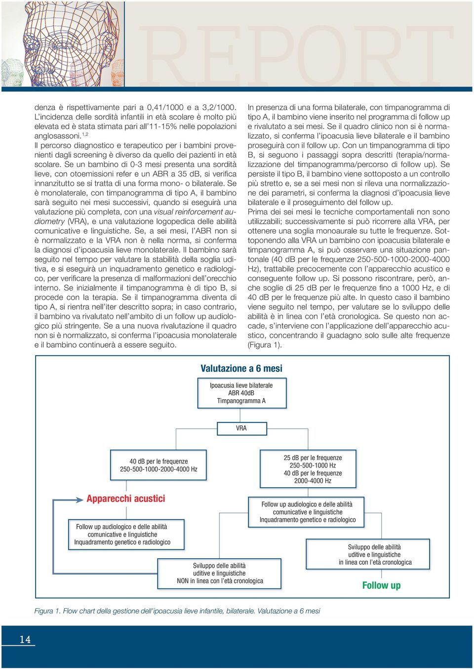 1,2 Il percorso diagnostico e terapeutico per i bambini provenienti dagli screening è diverso da quello dei pazienti in età scolare.