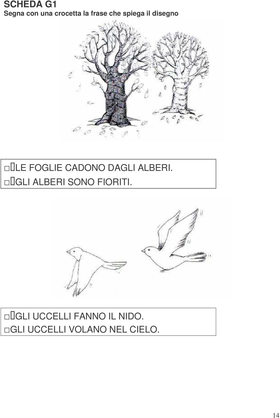 ALBERI. GLI ALBERI SONO FIORITI.