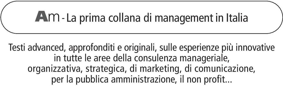 le aree della consulenza manageriale, organizzativa, strategica, di