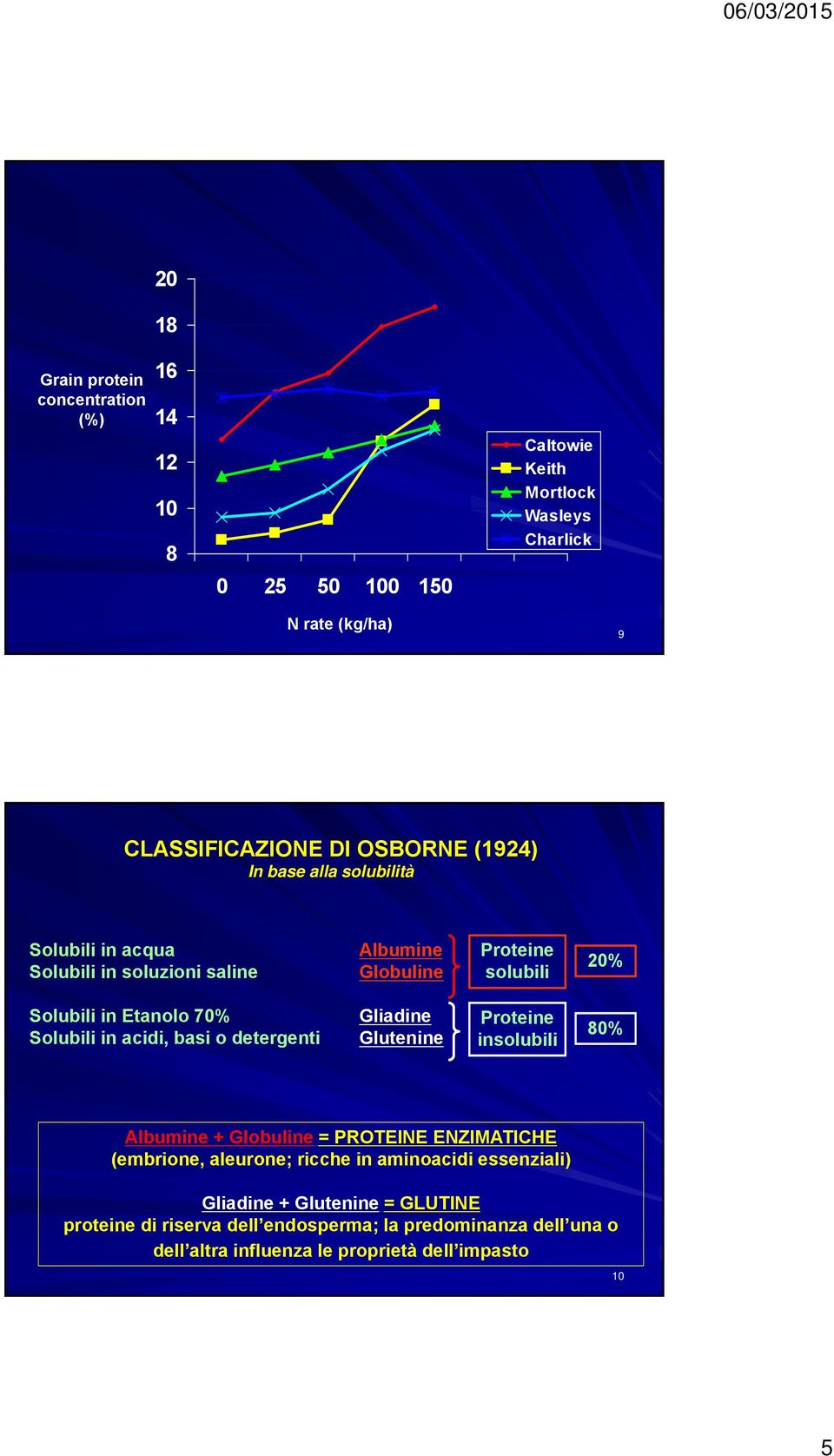 acidi, basi o detergenti Gliadine Glutenine Proteine insolubili 80% Albumine + Globuline = PROTEINE ENZIMATICHE (embrione, aleurone; ricche in aminoacidi