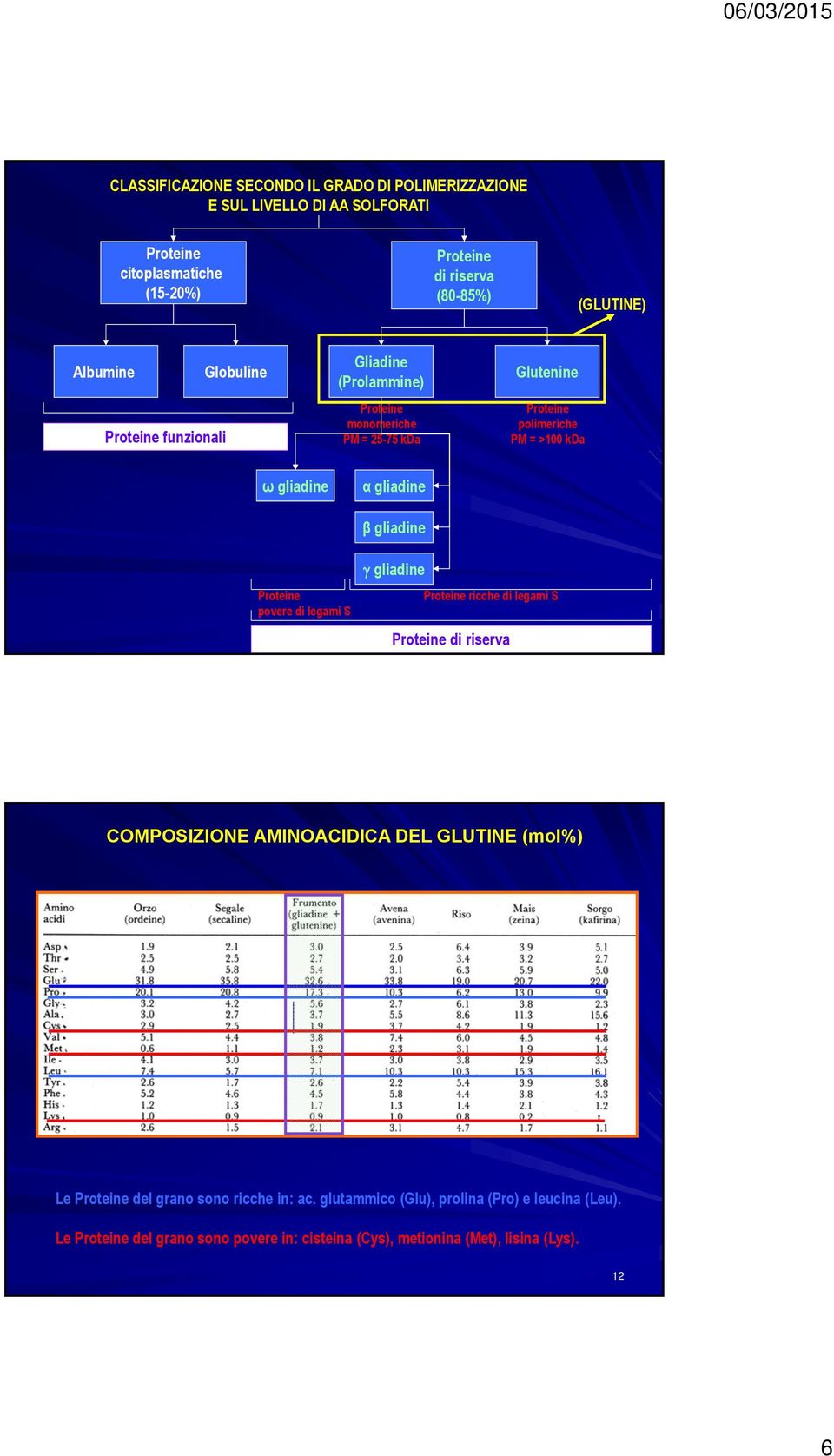 gliadine β gliadine Proteine povere di legami S gliadine Proteine ricche di legami S Proteine di riserva 11 COMPOSIZIONE AMINOACIDICA DEL GLUTINE (mol%) Le