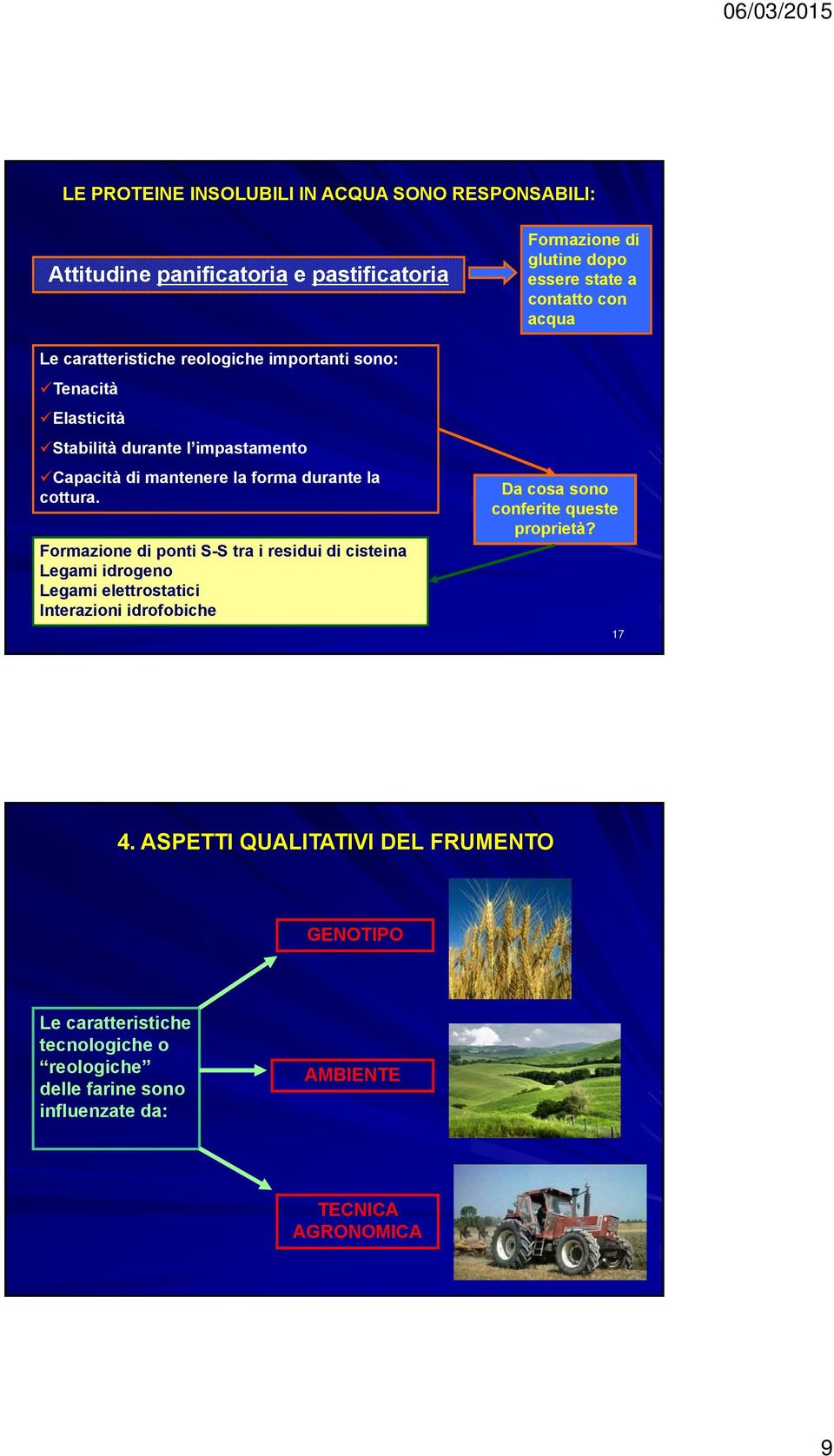 Formazione di ponti S-S tra i residui di cisteina Legami idrogeno Legami elettrostatici Interazioni idrofobiche Da cosa sono conferite queste proprietà?