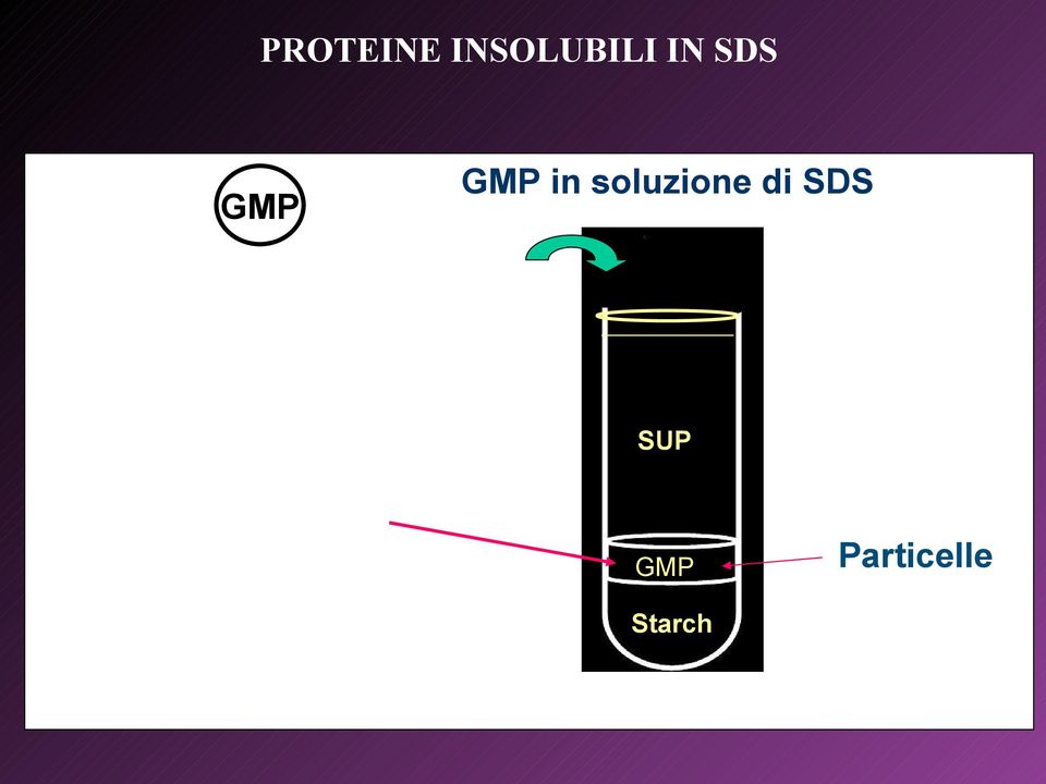 soluzione di SDS