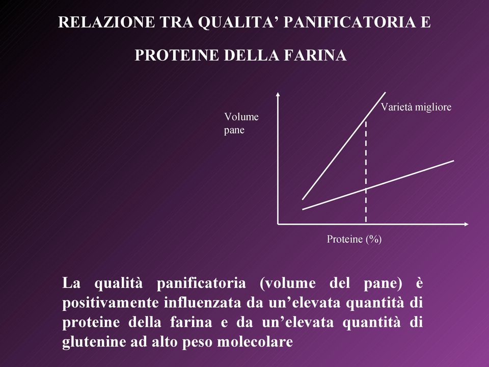 del pane) è positivamente influenzata da un elevata quantità di