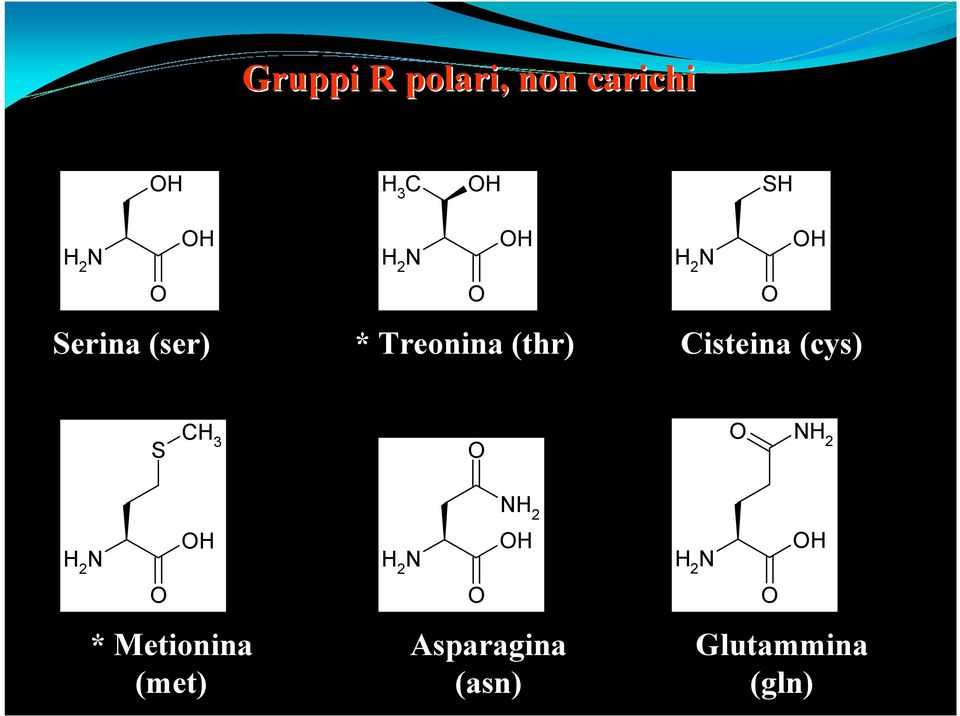 (cys) O OH S CH 3 O O NH 2 N H 2 O OH * Metionina (met)