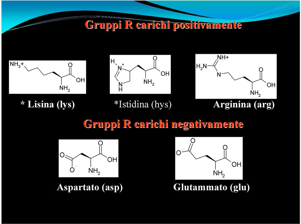 OH H 2 N NH+ Gruppi R carichi negativamente N NH 2 O OH