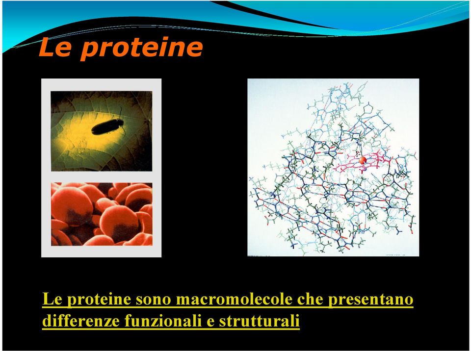 presentano differenze