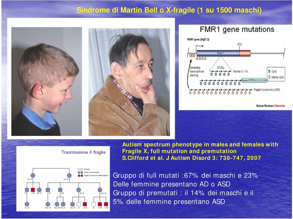 J Autism Disord 3: 738-747, 2007 Gruppo di full mutati :67% dei maschi e 23% Delle