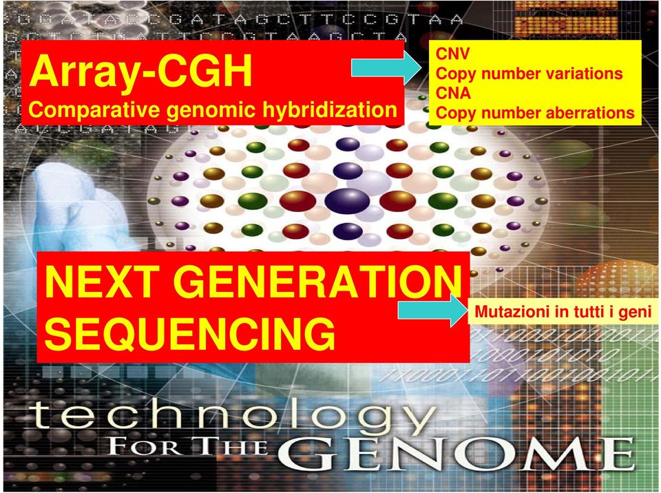 variations CNA Copy number